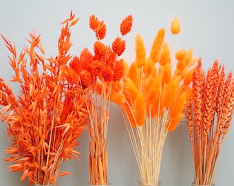 Mix of 4 Dried Burnt Orange wheat stems/ Canary Grass / Oat Dried grass /Bunny tail Dried Flowers /Autumn decor/ Rustic Home Decor Oat stems