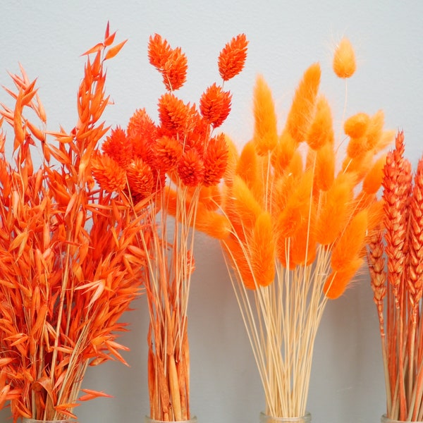 Mix of 4 Dried Burnt Orange wheat stems/ Canary Grass / Oat Dried grass /Bunny tail Dried Flowers /Autumn decor/ Rustic Home Decor Oat stems