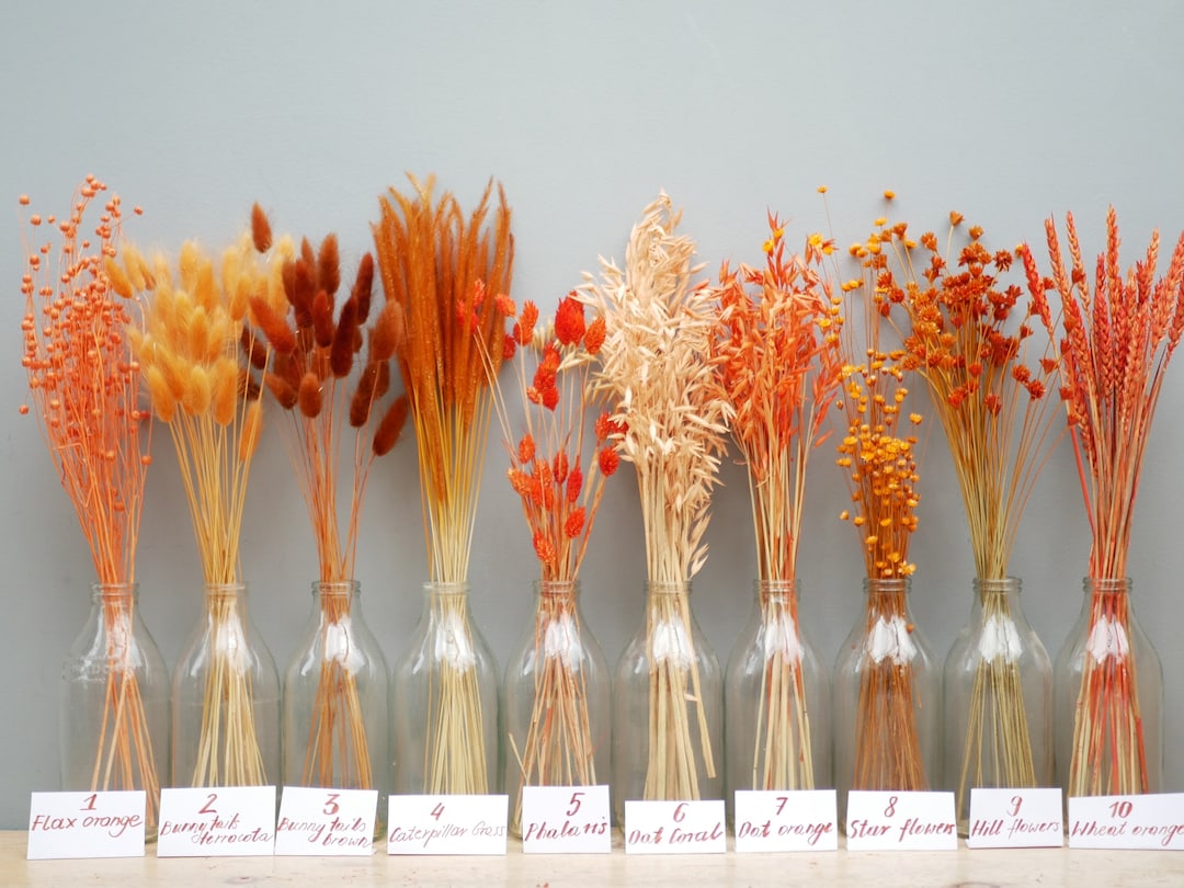 Frontiers | Indoleamine 2, 3-Dioxygenase 1 Mediates Survival Signals in  Chronic Lymphocytic Leukemia via Kynurenine/Aryl Hydrocarbon  Receptor-Mediated MCL1 Modulation, image size:1080x810