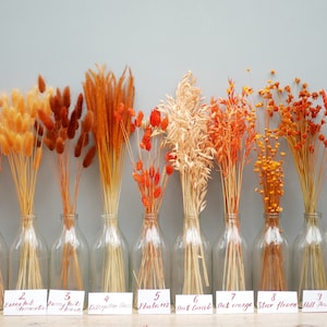 Autumnal dried flowers Little Mix Orange 1- 3- 5- 10 stems,Yellow,Brown,Golg wheat stems/Canary Grass /Oat Dried grass /Bunny tails