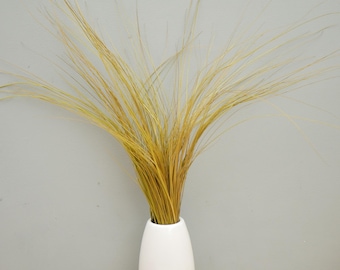 May include: A white ceramic vase with a smooth, rounded, elongated shape containing a bundle of long, thin, golden-yellow dried grass stalks that fan out in multiple directions, creating a tall, airy, and textured botanical arrangement.