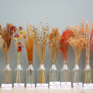 Può includere: Dieci bottiglie di vetro riempite con fiori e erbe secche in varie tonalità di arancio, rosso e beige. Ogni bottiglia ha una piccola etichetta con un nome e un numero.