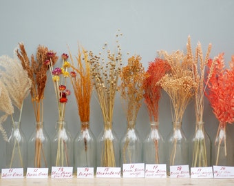 May include: Ten glass bottles filled with dried flowers and grasses in various shades of orange, red, and beige. Each bottle has a small label with a name and number.