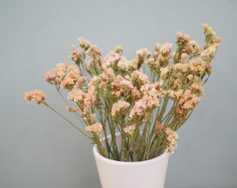 May include: A bouquet of dried flowers in a white ceramic vase. The flowers are a mix of light peach and cream colors, with delicate, textured petals. The vase is cylindrical and sits against a muted teal background.