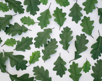 May include: A flat lay of green oak leaves on a white background. The leaves are arranged in a random pattern, with some overlapping.