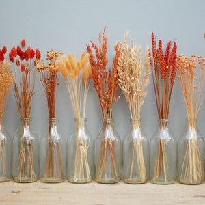 Autumnal colours Dried Orange,Misty Coral ,light orange  wheat stems/ Canary Grass / Oat Dried grass / Bunny tails/Dried Flowers /