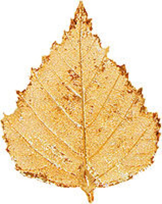 L'arbre aux feuilles d'or : veritables feuilles d'arbre dorées a l