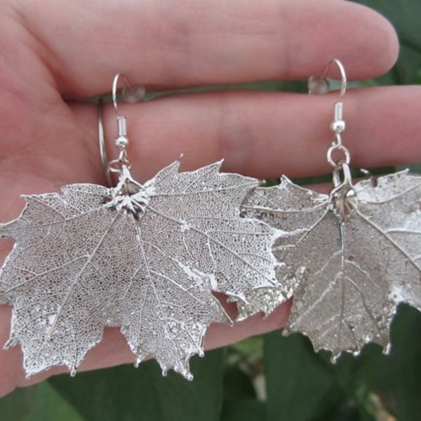 Joyas de hojas naturales, verdaderas hojas canadienses erables montadas en pendientes