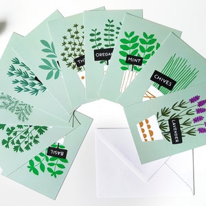 Cartões postais de ervas, plantas em vasos, cozinha, cozinha / ansichtkaarten - conjunto de 10 - design de Heleen van den Thillart