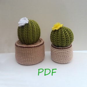 Op de afbeelding: Twee gehaakte cactusplanten in bruine potten. De grotere cactus heeft een witte bloem en de kleinere cactus heeft een gele bloem.