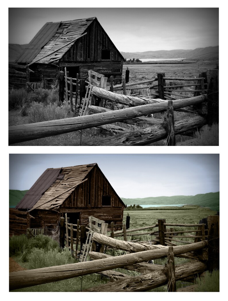 Colorize Your Black and White Photos Etsy