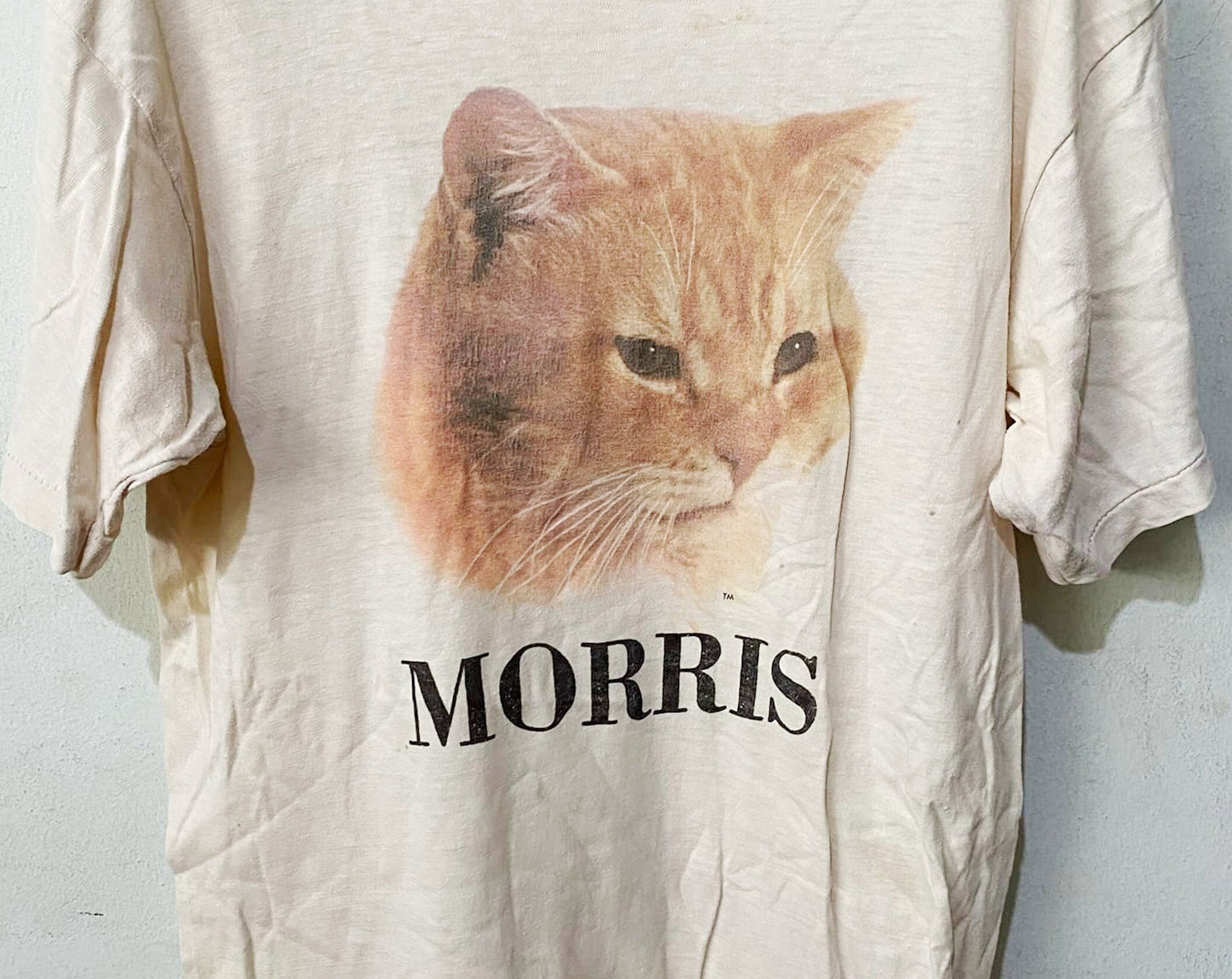 Vintage 80s Morris Cat Shirt