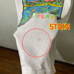 May include: White t-shirt with a colorful graphic print of a landscape with mountains, trees, and a lake. The text "Matters" is visible on the shirt. There is a small stain on the shirt.