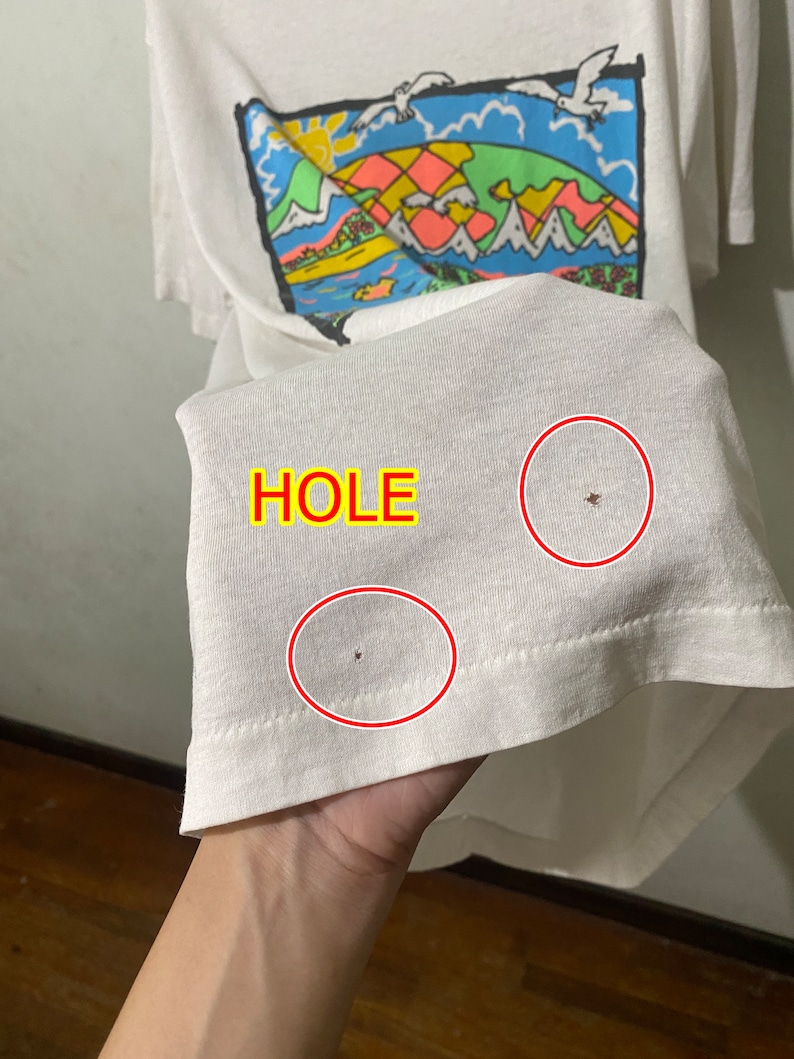 May include: White t-shirt with a colorful graphic print of a landscape with mountains, a sun, and birds. The shirt has two small holes near the bottom.