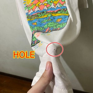 May include: White t-shirt with a colorful graphic print of a landscape with mountains, a lake, and birds. The shirt has a small hole near the bottom.