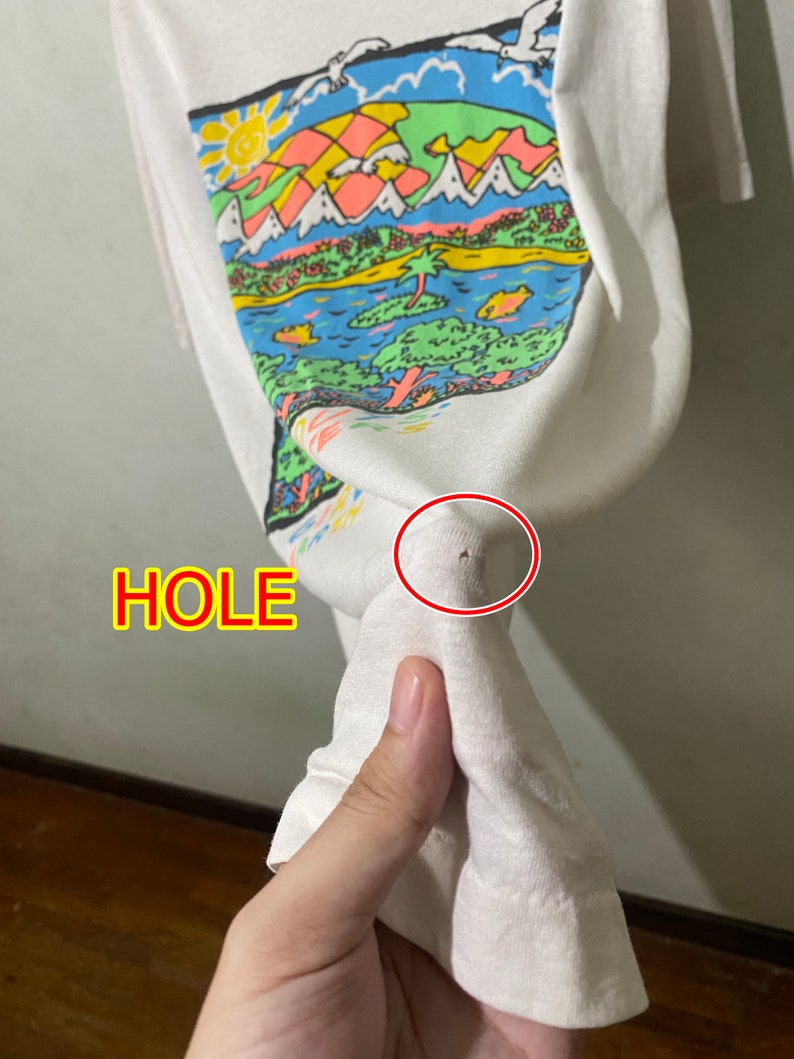 May include: White t-shirt with a colorful graphic print of a landscape with mountains, a lake, and birds. The shirt has a small hole near the bottom.