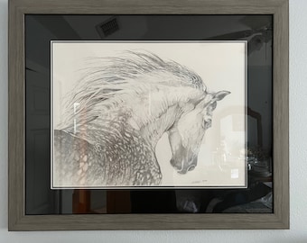 Hand-drawn appaloosa horse in graphite and charcoal pencil.  Large 18x24 framed with double matt 28x35