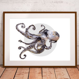 タコ（Octopus Vulgaris）ジクレー版画、A4、A3、またはA2 - 水中壁画