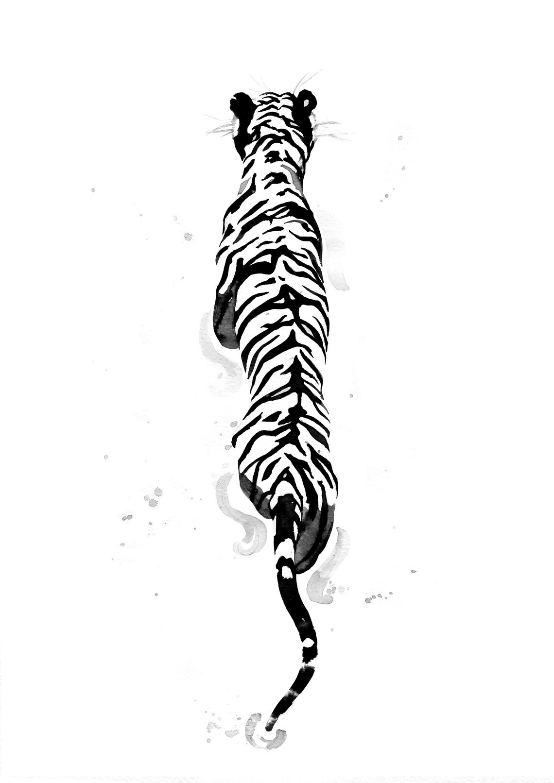 Tiger Art Print White Tiger Black Ink Illustration Japanese Etsy