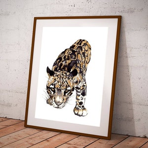 Clouded Leopard Art, Leopard Art, Big Cat Art, Tropical Wall Art, Wildlife Art, Animal Wall Art, Leopard Print, A4/A5 Giclee Print