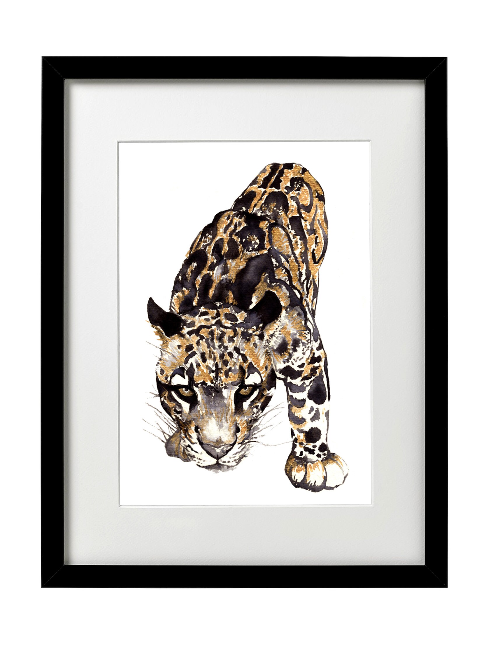 Clouded Leopard Art Leopard Art Big Cat Art Tropical Wall Etsy