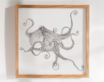 Original Octopus Drawing, Pencil on Paper, 13.5/11.6" Unframed