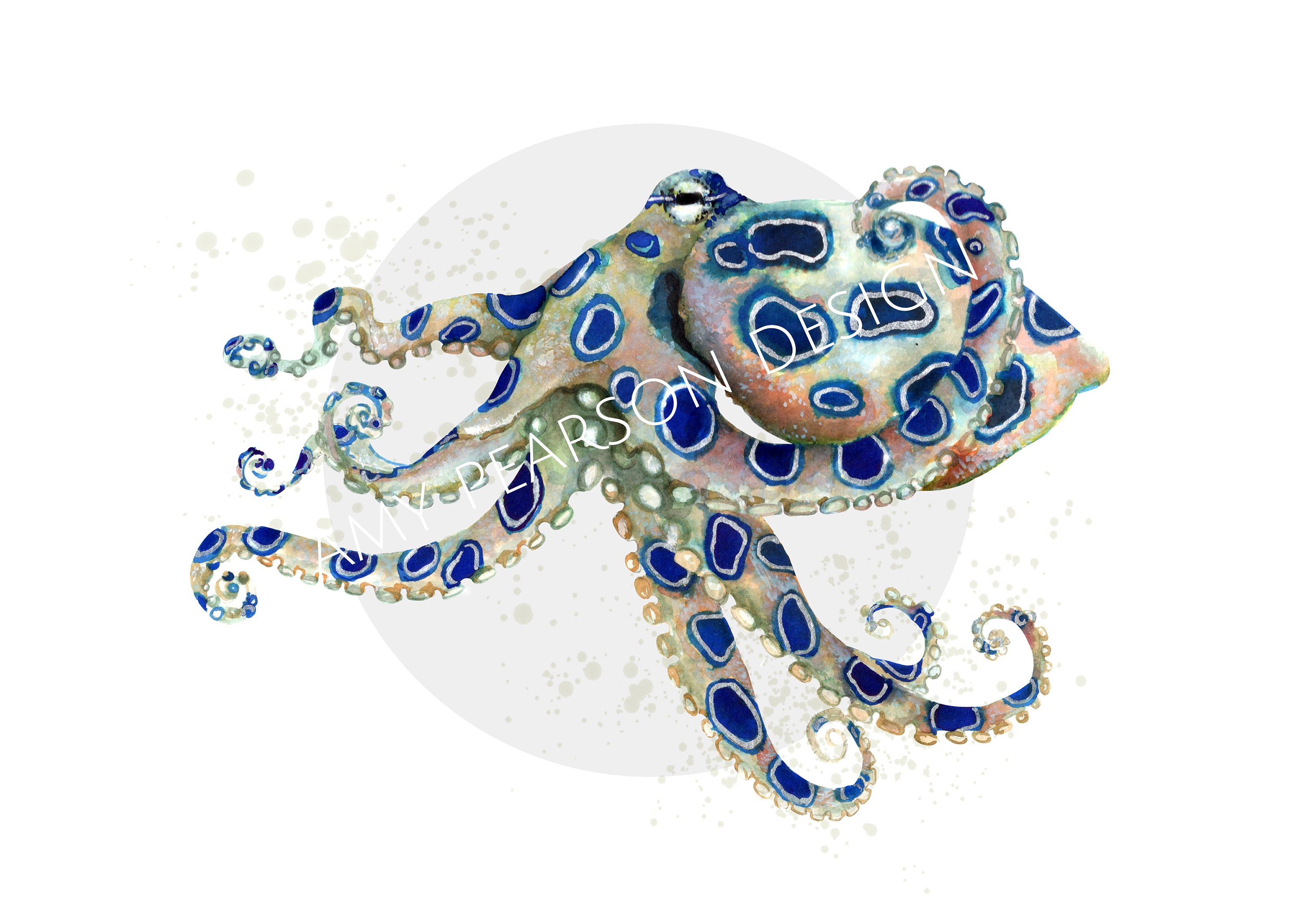 Blauwe ring octopus gicleeprint, A4, A3 of A2 - onderwaterkunst aan de  muur, octopus illustratie, aquarel octopus - Etsy België, image size:3000x2121