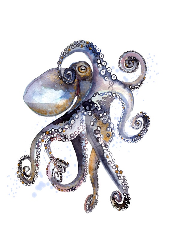 タコ 静物 油彩画 タコ 静物 油彩画 タコ 静物 油彩画 タコ 静物 油彩画