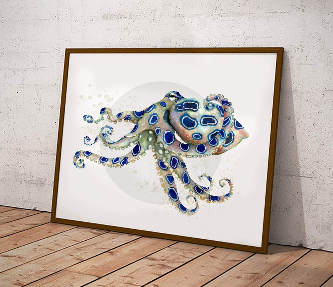 Blauwe ring octopus gicleeprint, A4, A3 of A2 - onderwaterkunst aan de  muur, octopus illustratie, aquarel octopus - Etsy België, image size:1080x931