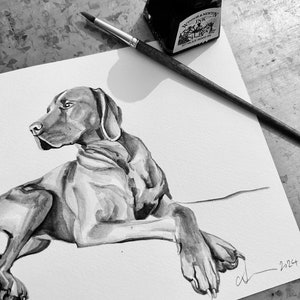 Vizsla in Black Ink - Dog Print, Hound, Bird Dog, Pet Portrait, Hungarian Vizsla, A5, A4 Giclee Print