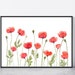 Poppy Flower Print Printable Wall Art Instant Download DIY Print Red ...
