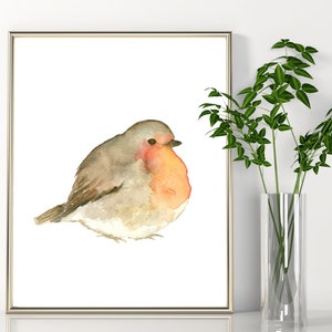 Robin Bird Print, Bird Printable Art, instant Download Winter Small Fluffy Bird DIY Printable Wall Art House Decor Watercolor Painting