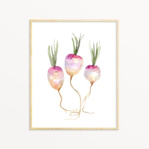 Vegetable Printable Wall Art Turnips instant Download DIY Print Kitchen Art Decor Watercolor Painting JPG Files