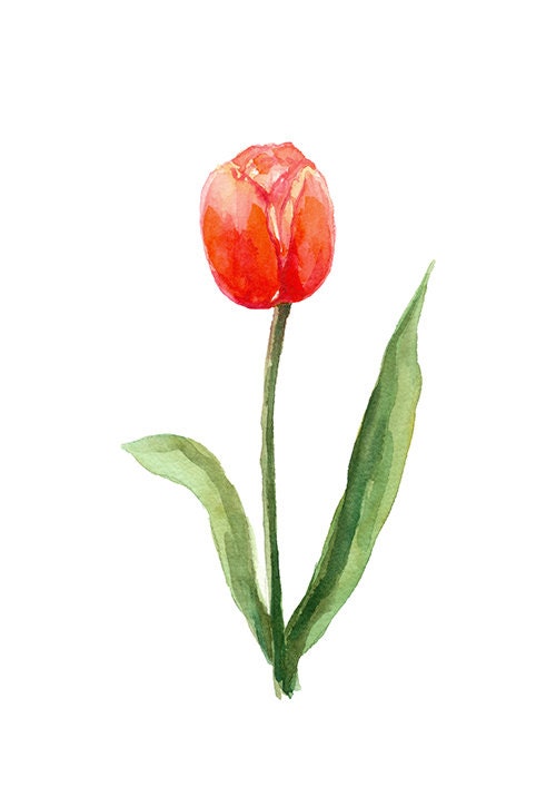 Colorful Tulip Wall Art Set Printable Flower Botanical Instant Etsy