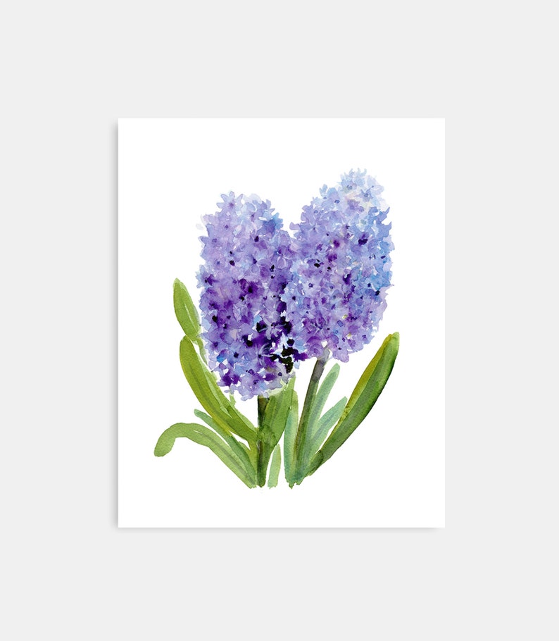 Purple Flower Art Print Hyacinth Instant Download DIY Etsy