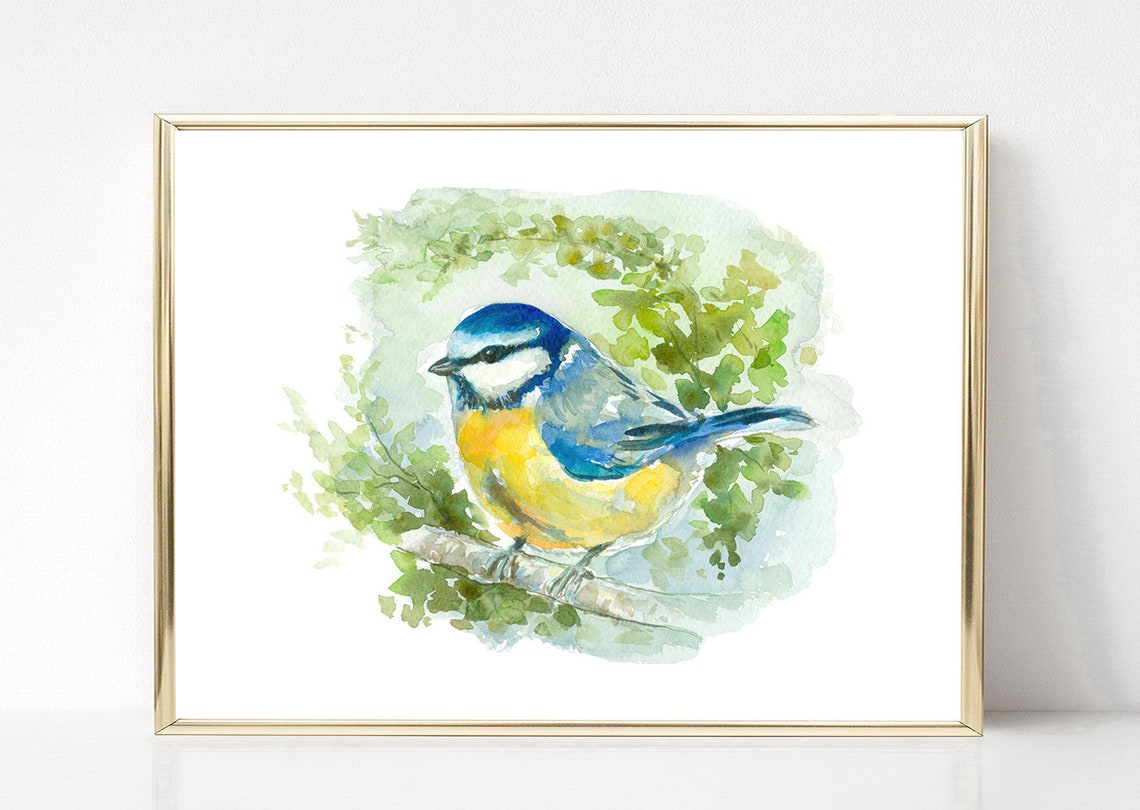Bluetit Bird Art Print Watercolor Printable Blue Bird Wall Art | Etsy