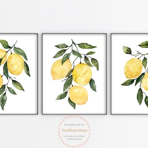 Lemon Printable Wall Art instant Download Fruit Watercolor Botanical Print Kitchen Decor Citrus Botanical Poster Set of 3