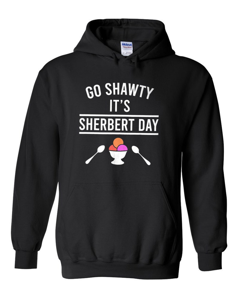 Go Shawty It's Sherbert Day funny pun t-shirt image 3
