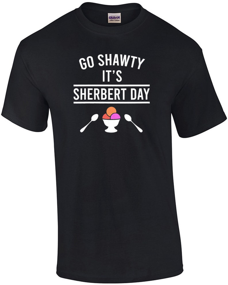 Go Shawty It's Sherbert Day funny pun t-shirt image 1