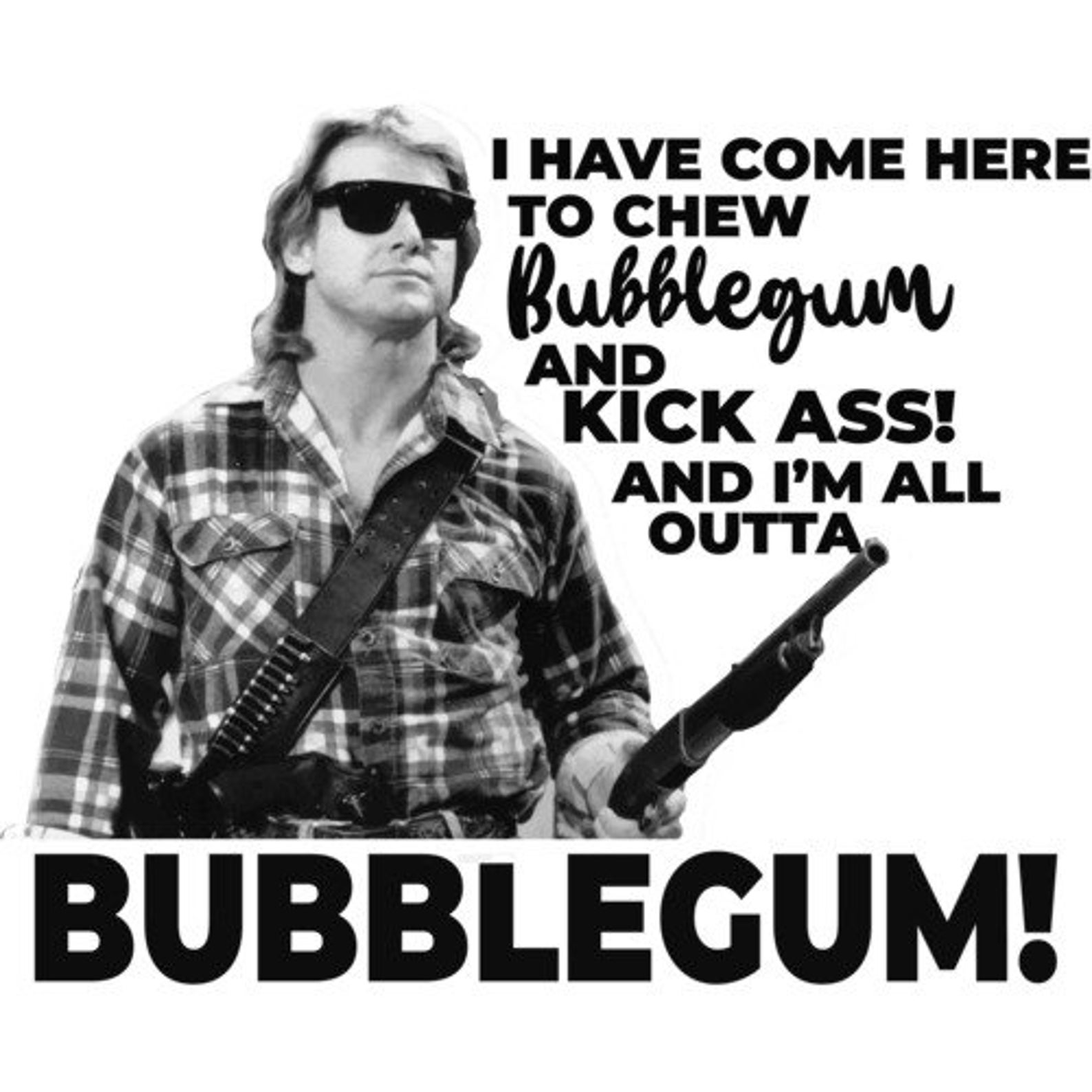 I have come here to chew bubblegum and kick ass And I'm image 1.