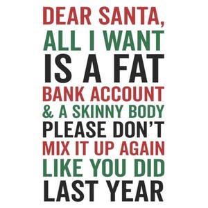 Lieber Santa, alles was ich will, ist ein fettes Bankkonto - lustiges Weihnachts T-Shirt