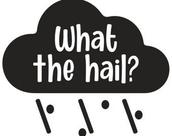 What The Hail? Funny Pun T-Shirt