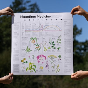 Moontime Medicine Guide