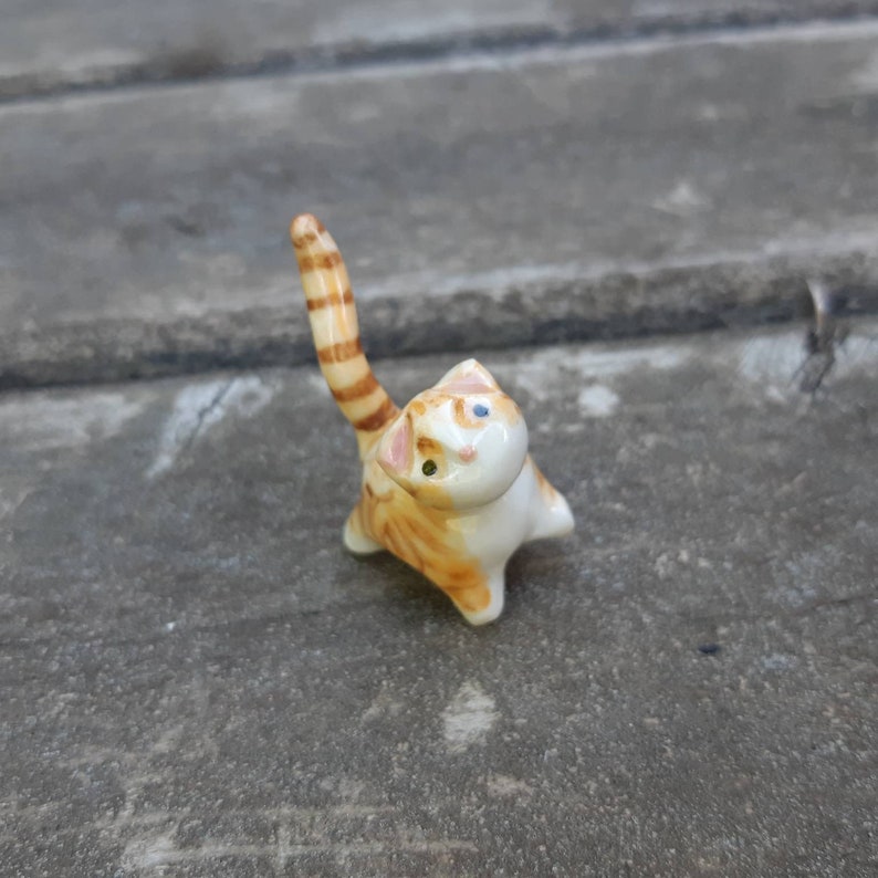 orange tabby kitten orange tabby kitten