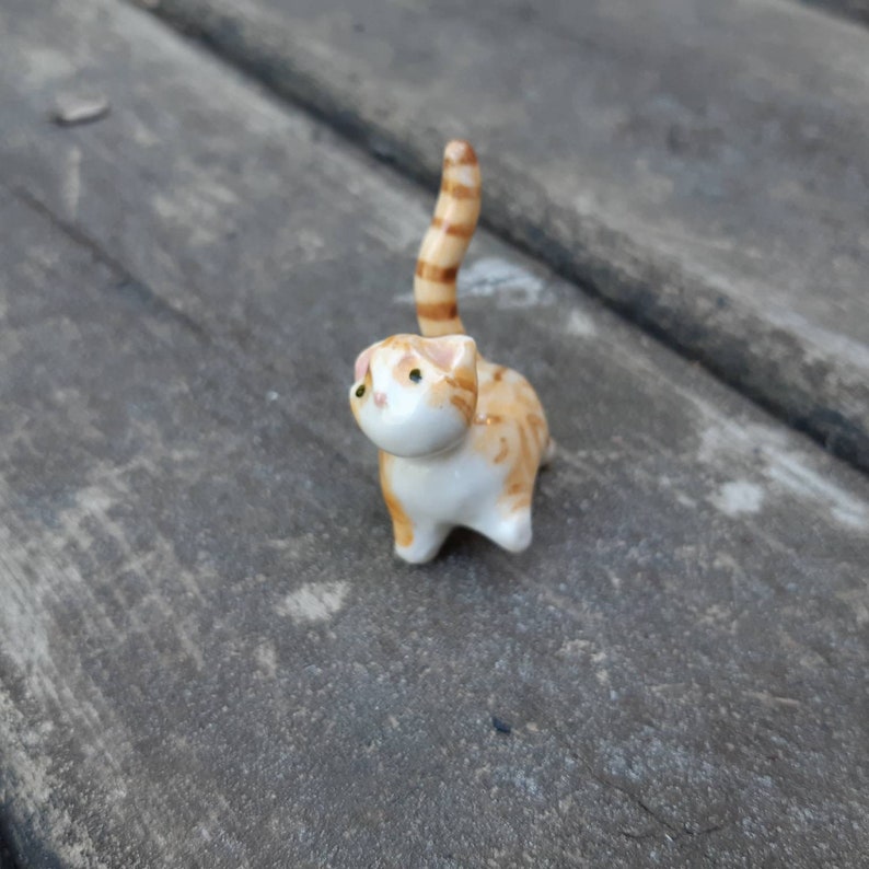 orange tabby kitten orange tabby kitten