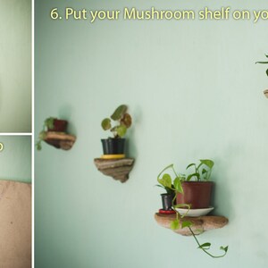 Shelf Mushroom shelf - Natural forest decor - Since 2016 on Etsy - Elf Gnome Dwarf Fairy home decoration - Waldorf interior. image 8
