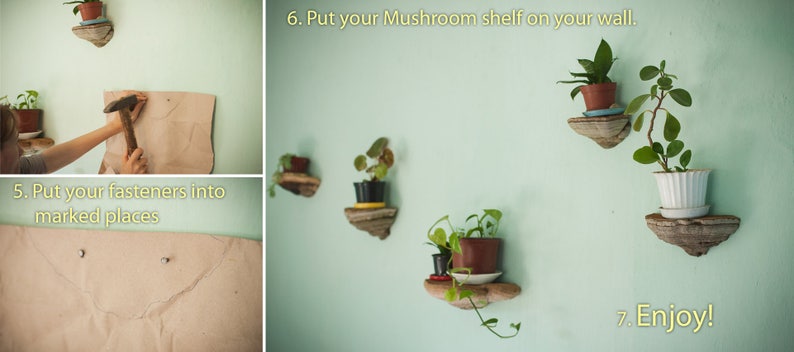 Shelf Mushroom shelf - Natural forest decor - Since 2016 on Etsy - Elf Gnome Dwarf Fairy home decoration - Waldorf interior. image 8