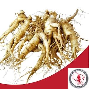American Ginseng Rootlets