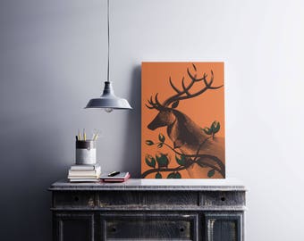 Mr Deer