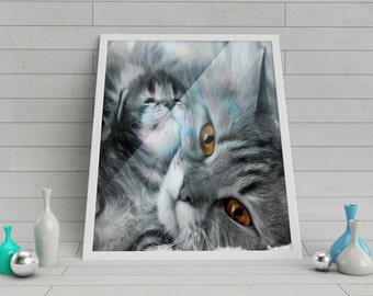 Cat family